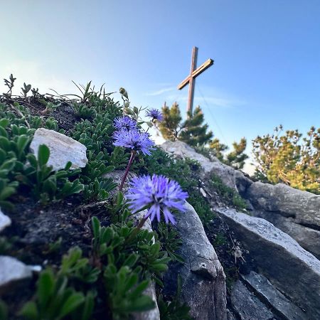 Ferienwohnung Gasser Hahnenkamm Blick Reutte Exteriör bild