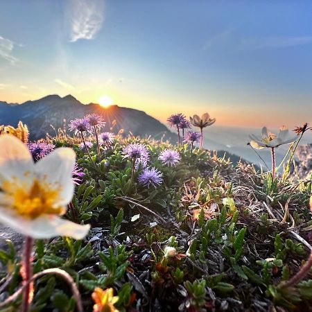 Ferienwohnung Gasser Hahnenkamm Blick Reutte Exteriör bild