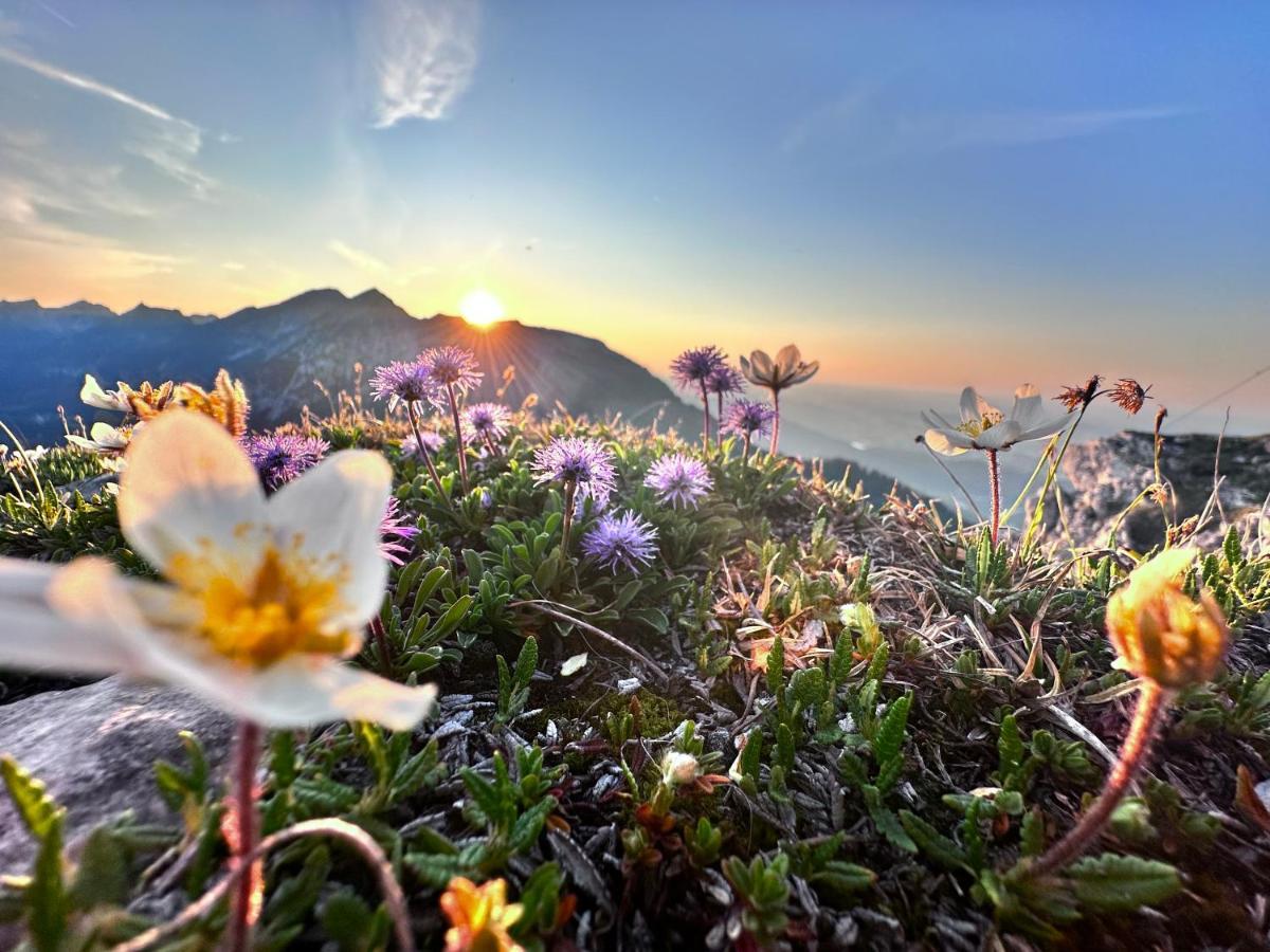 Ferienwohnung Gasser Hahnenkamm Blick Reutte Exteriör bild